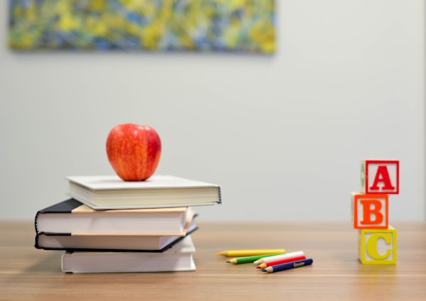 SkillBridge Online Learning PPC Campaign
