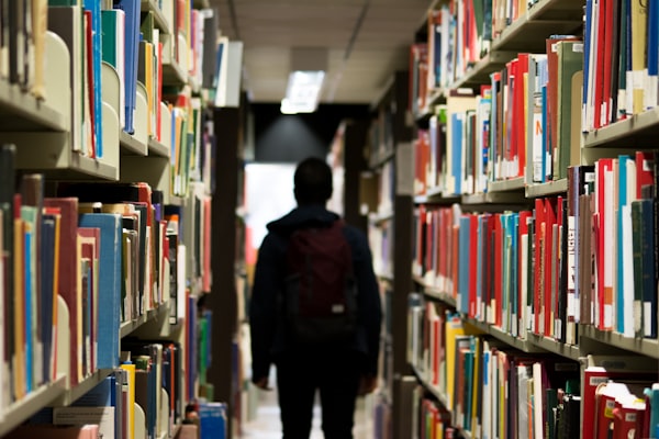 Lakeview University SEO Strategy